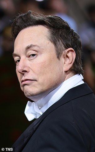 Jefe idiota Elon Musk