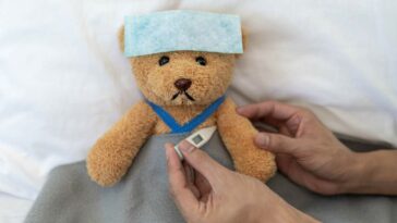 El hospital de osos de peluche abre en Munich durante tres días