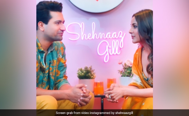In Vicky Kaushal Vs Shehnaaz Gill, Guess Who Won The Blinking Game