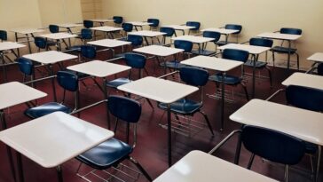 Estudiante de HBCU dice que fue arrestada 'por no disculparse con el profesor blanco' |  La crónica de Michigan