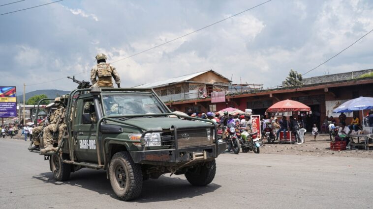 Expertos de la ONU señalan el papel de Ruanda en la crisis rebelde del este de la República Democrática del Congo