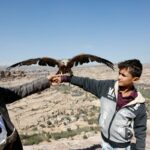 Familia de Yemen depende de los halcones como fuente de sustento