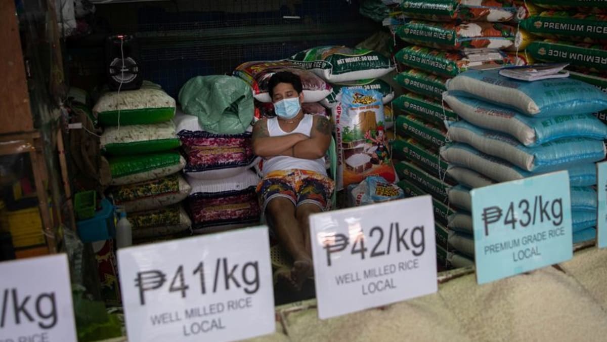 Filipinas extiende los recortes arancelarios sobre el arroz importado y otros alimentos para combatir la inflación
