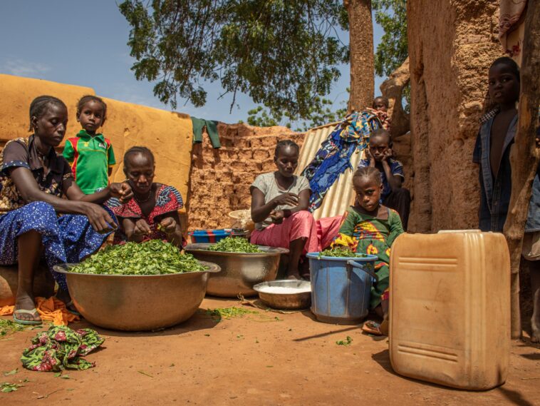 Fotos: Familias sitiadas obligadas a comer hojas en Burkina Faso