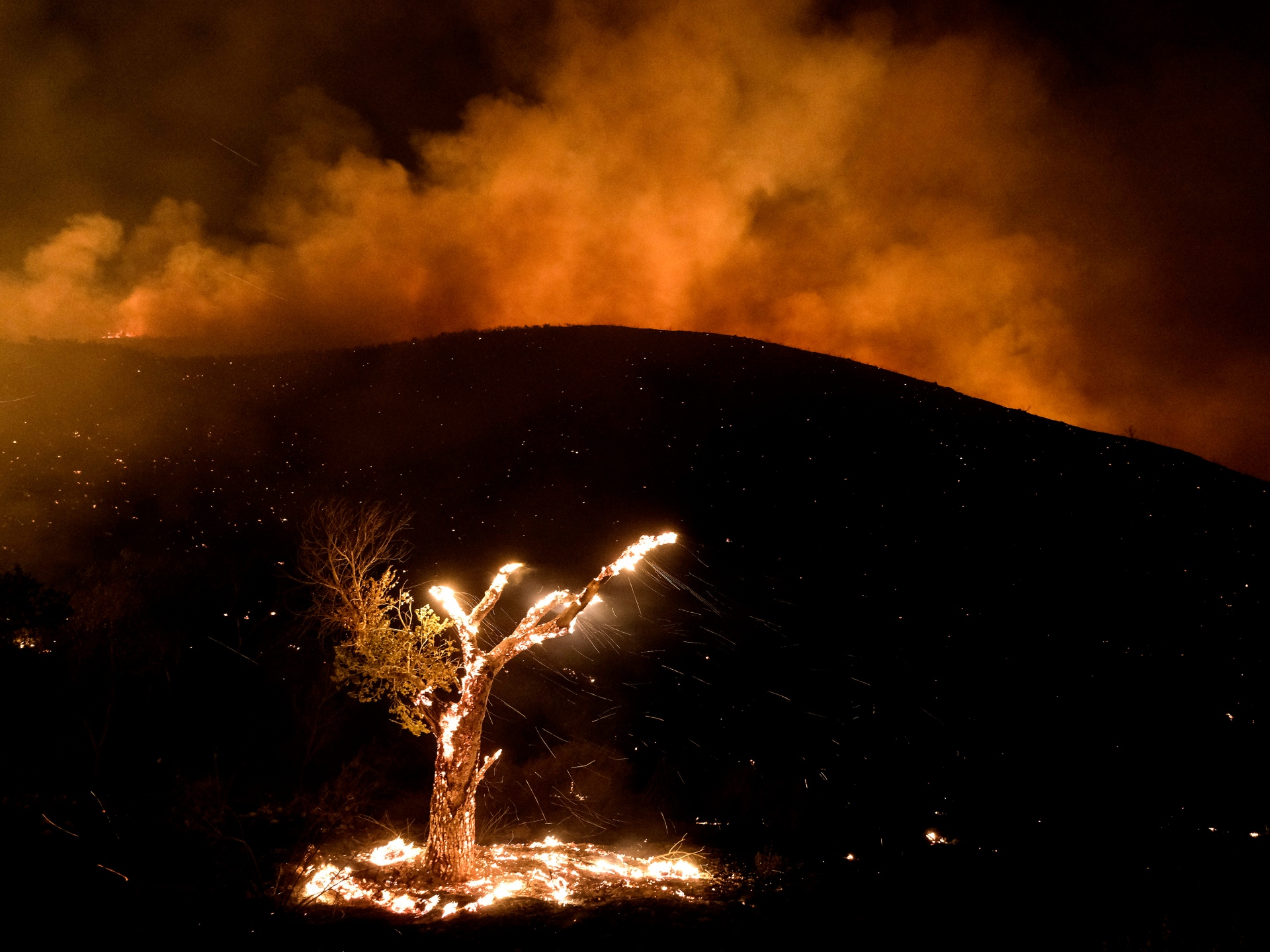 Fotos: Un año de enfrentar la furia de la naturaleza
