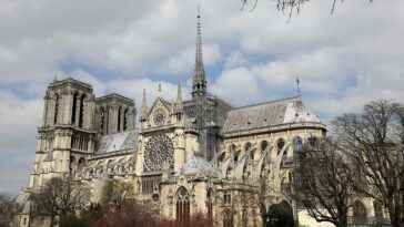 Identifican los esqueletos encontrados en sarcófagos debajo de las cenizas del incendio de la Catedral de Notre Dame REVELADO