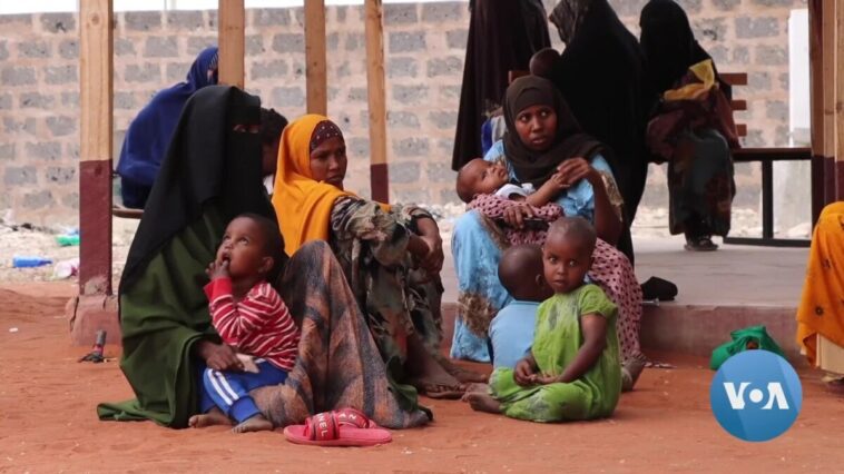 Kenia dice que casi un millón de niños están gravemente desnutridos