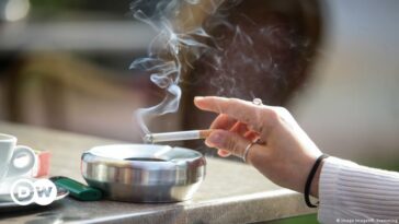 La prohibición de fumar en Nueva Zelanda: ¿un precedente para otros?