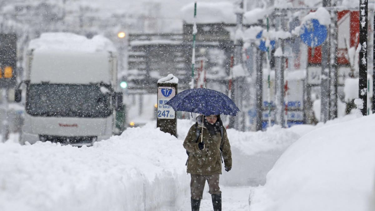 Las fuertes nevadas en Japón provocan apagones en Hokkaido, cancelaciones de vuelos y retrasos en los trenes: Informes
