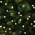 Cuando faltan menos de dos semanas para Navidad, muchos británicos emocionados adornarán sus casas con luces y decoraciones festivas.  Pero un nuevo informe insta a las personas a pensar dos veces antes de comprar luces navideñas en línea (imagen de archivo)