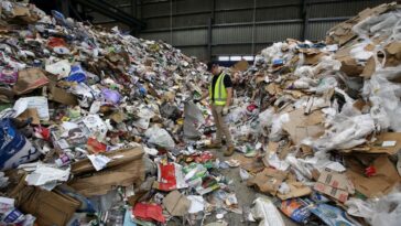 Los desechos crecen a medida que el reciclaje se estanca: Informe