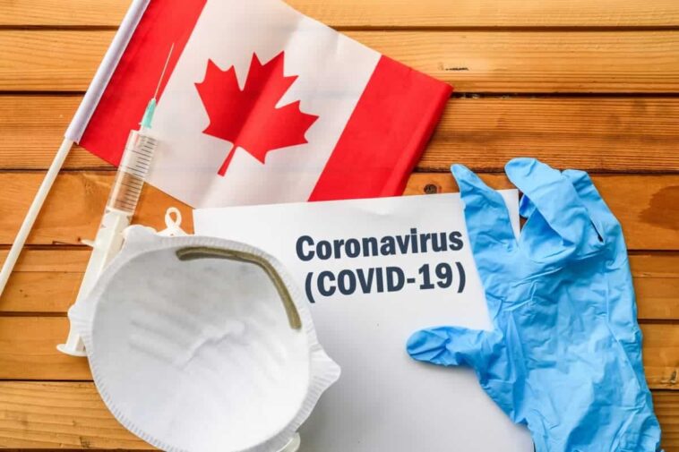 Los inmigrantes canadienses recientes sufrieron una presión económica desproporcionada debido a COVID-19: Estadísticas de Canadá