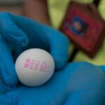 Malasia permitirá la importación temporal de huevos de gallina para superar la escasez