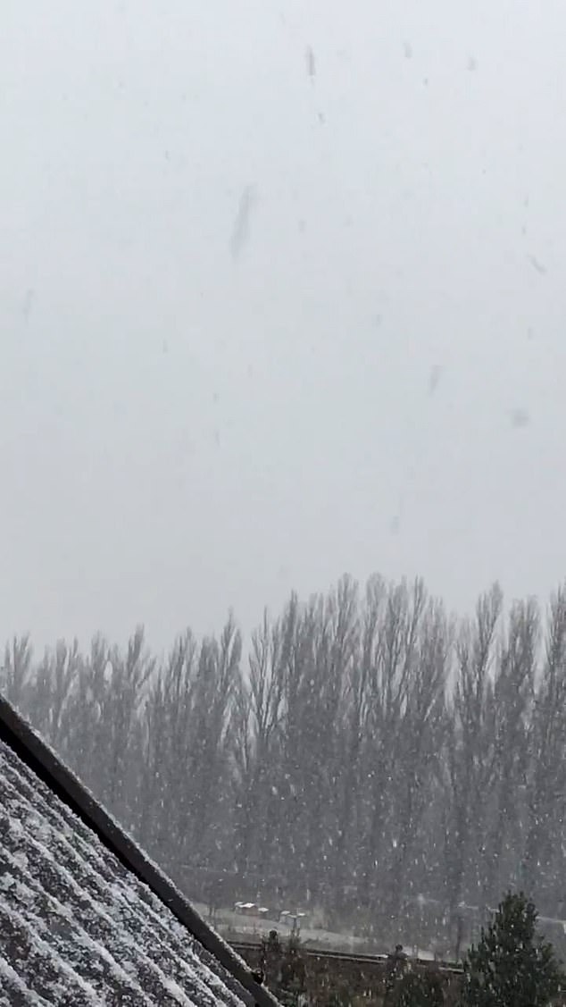 Un video capturó el momento en que las sirenas antiaéreas sonaron en Ucrania el día de Navidad mientras caía la nieve.