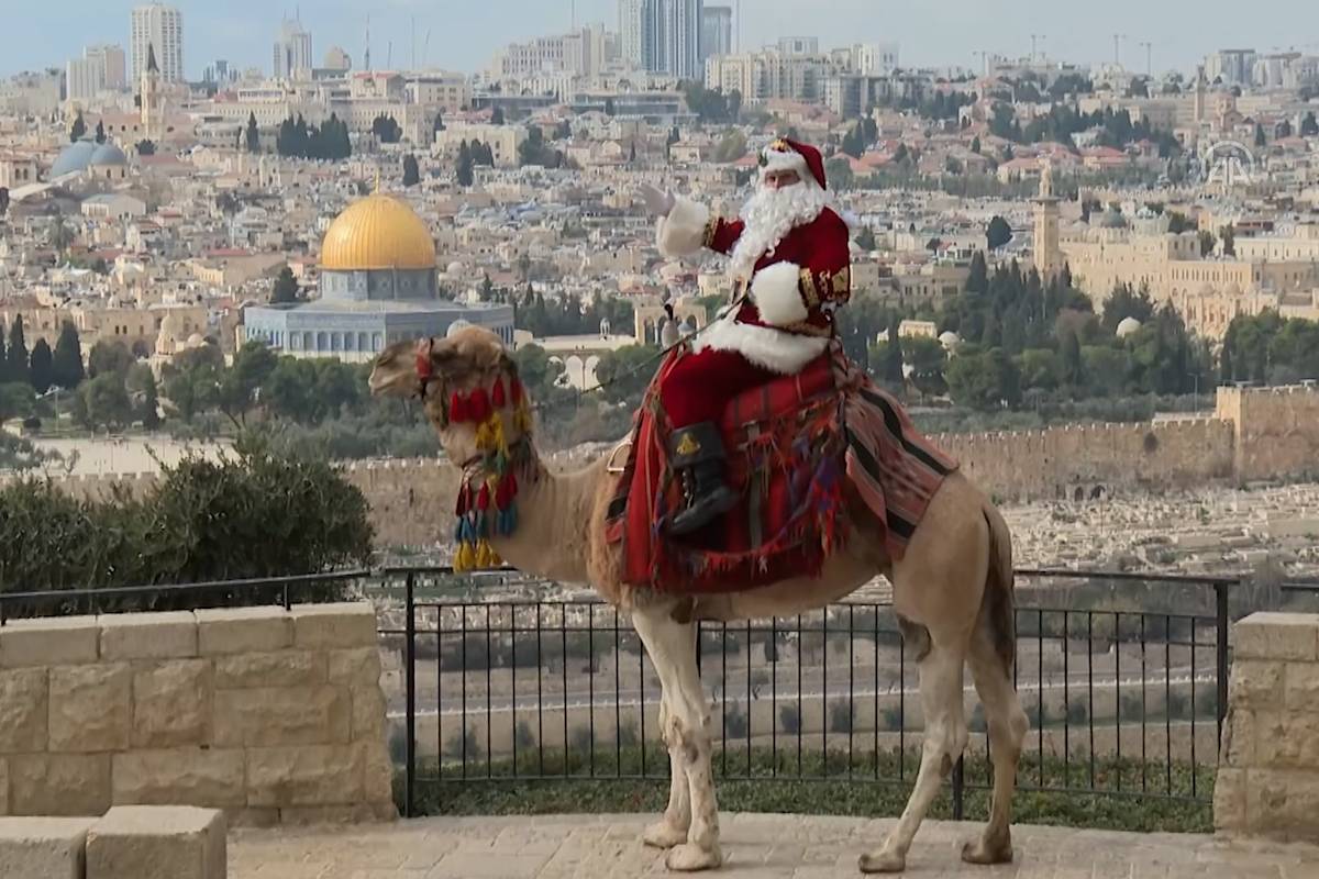 Papá Noel palestino entra en camello a Jerusalén
