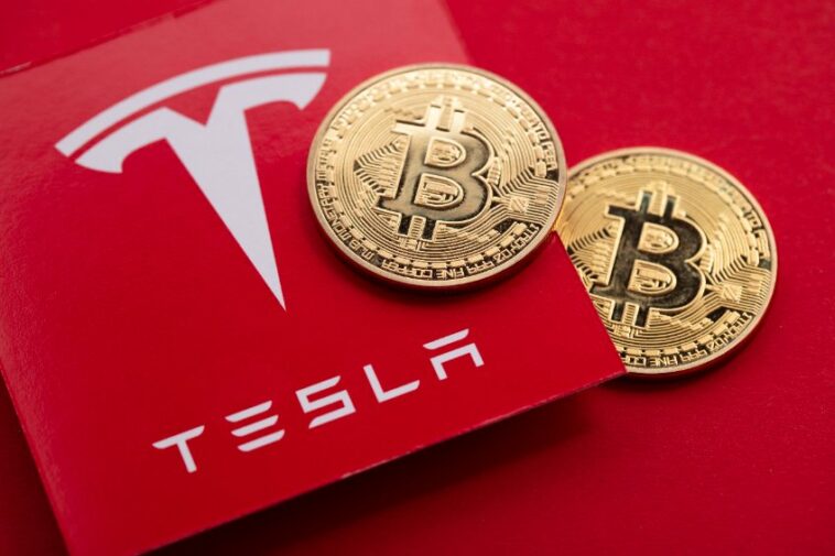 Precio de Bitcoin vs acciones de Tesla: ¿Cuál es una mejor compra en 2023?
