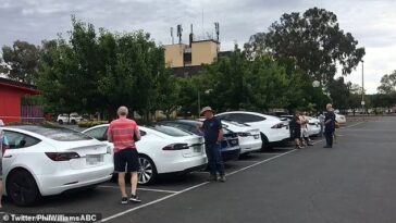 El reportero de ABC Phil Williams compartió un video de los autos de lujo alineados en un puerto de carga en Wodonga, en la frontera de Victoria y NSW, en Twitter el miércoles.