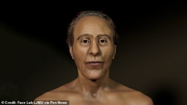 El 'guapo' rostro del faraón más poderoso del antiguo Egipto, Ramsés II, se puede ver por primera vez en 3.200 años gracias a una nueva reconstrucción científica