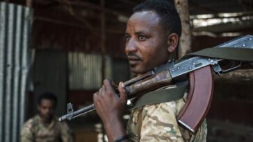 Rebel dice que el comandante 65% de los combatientes se han 'desconectado' de Tigray