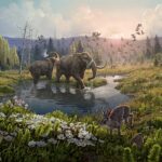 El ADN ha permitido a los expertos mapear un ecosistema prehistórico que consta de animales como renos, liebres, lemmings e incluso mastodonte, a menudo descrito como un elefante peludo de la edad de hielo.