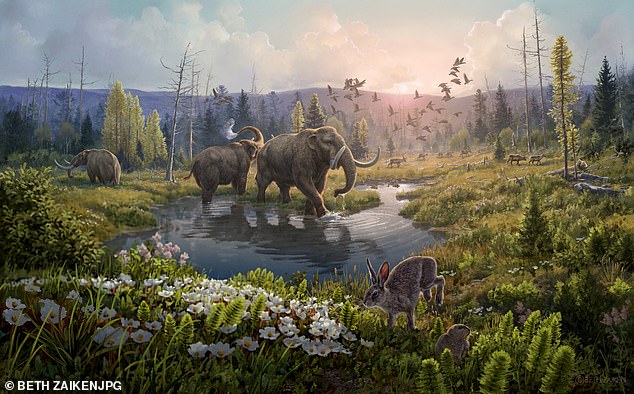 El ADN ha permitido a los expertos mapear un ecosistema prehistórico que consta de animales como renos, liebres, lemmings e incluso mastodonte, a menudo descrito como un elefante peludo de la edad de hielo.