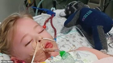 Camila Rose, de cuatro años, ha estado conectada a un ventilador en el Hospital Infantil Alder Hey en Liverpool desde el domingo pasado.  Inicialmente, la enviaron a casa con un inhalador una semana antes.