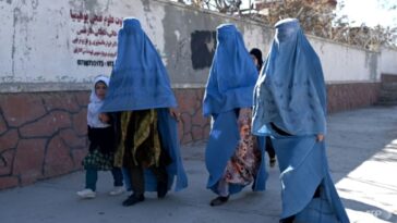 'Simplemente no podemos funcionar': las ONG se oponen a la prohibición de los talibanes de las mujeres en el personal