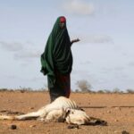 Somalia avanza poco a poco hacia la hambruna en medio de una sequía extrema
