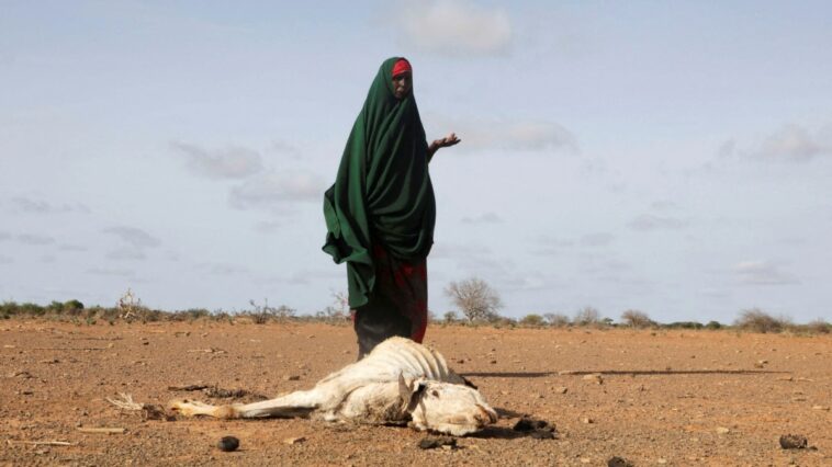 Somalia avanza poco a poco hacia la hambruna en medio de una sequía extrema