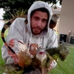 Brendan Denuyl (en la foto), de 29 años, se filmó a sí mismo recogiendo una serie de iguanas en sus brazos en Pembroke Pines, en el sur de Florida, mientras sufrían del frío.