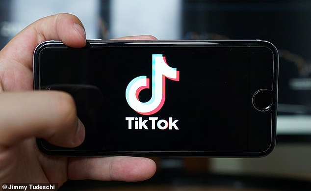 Los usuarios de TikTok que tengan acceso a la función de prueba verán aparecer un nuevo botón de 'pantalla completa' en su feed (foto de archivo)