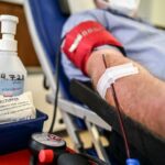Alemania presiona para poner fin a la discriminación de los donantes de sangre homosexuales