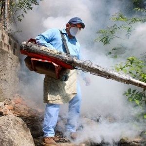 Bolivia: Santa Cruz en alerta roja por dengue