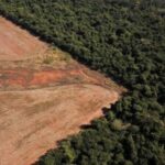 Brasil registró aumento de 54% en alertas de deforestación en 2022