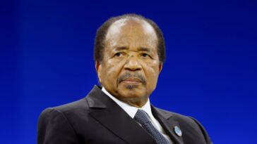 Camerún niega haber pedido ayuda con crisis separatista anglófona