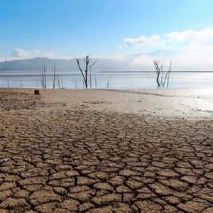 Casi 80% del territorio mexicano afectado por sequía