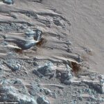 Buen lugar: las imágenes satelitales ayudaron a identificar una nueva colonia de alrededor de 500 pingüinos emperador en Verleger Point, en la Antártida occidental, mediante el seguimiento de las heces o guano de las aves (en la foto)