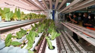 S. Korea to double budget for agricultural ODA programs by 2027