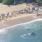 Cientos de nadadores fueron sacados de las aguas en Manly y Shelly Beach después de que un delfín fuera atacado por un tiburón alrededor de las 8 a.m. del sábado (en la foto)