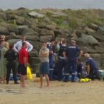 El niño de ocho años sufrió graves quemaduras en el pecho por el ataque en Warilla Beach en Shellharbour, en la costa sur de Nueva Gales del Sur, alrededor de las 5:30 p.m. del jueves.