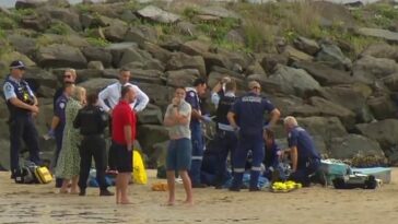 El niño de ocho años sufrió graves quemaduras en el pecho por el ataque en Warilla Beach en Shellharbour, en la costa sur de Nueva Gales del Sur, alrededor de las 5:30 p.m. del jueves.