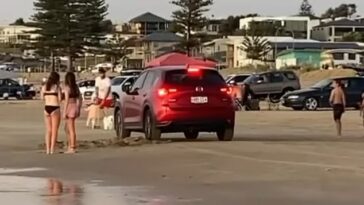 Una mujer perdió su licencia después de conducir de forma errática alrededor de familias con niños pequeños en una concurrida playa australiana.