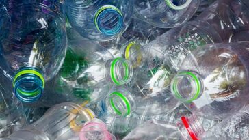 Los ministros finalmente anunciarán hoy un esquema de depósito para botellas y latas de plástico en un gran avance contra la basura, la contaminación y los desechos.