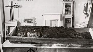 Momia de pantano de una mujer joven, encontrada en 1936 en un pantano en Estonia.  La mujer murió a finales del siglo XVII o principios del XVIII y es uno de los pocos hallazgos conocidos del este de Europa.
