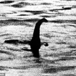 Un analista de datos ha puesto fin a una de las teorías más populares del Monstruo del Lago Ness, después de descubrir que no, no era una anguila gigante.  En la imagen: famosa fotografía de 'Nessie' tomada en 1934 por el coronel Robert Kenneth Wilson