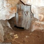 Dentro de la cueva Heaning Wood Bone, que es uno de los primeros lugares identificados de presencia humana en el norte de Inglaterra