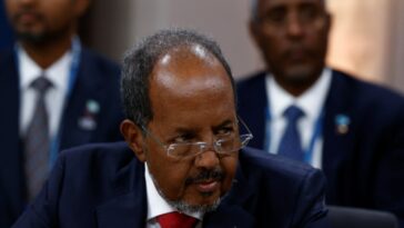 El presidente de Somalia pide a los jóvenes combatientes de al-Shabab que se rindan