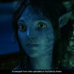 Avatar: The Way Of Water Producer Has A Message For Indian Fans -