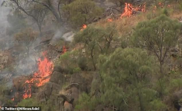 Docenas de equipos de bomberos han pasado la tarde luchando contra un incendio masivo en el Parque de Conservación Black Hill mientras el incendio amenaza a las ciudades cercanas en Adelaide Hills.