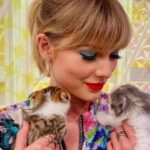 Es una vida maravillosa para el gato de Taylor Swift